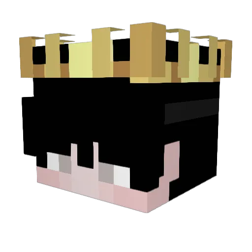 SebyTM Minecraft avatar head, 3D render