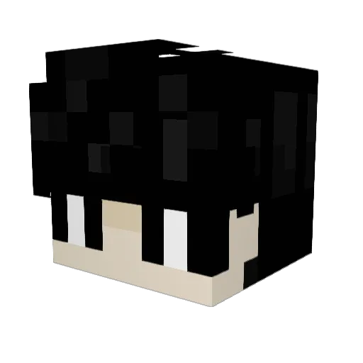 Sebygames51 Minecraft avatar head, 3D render