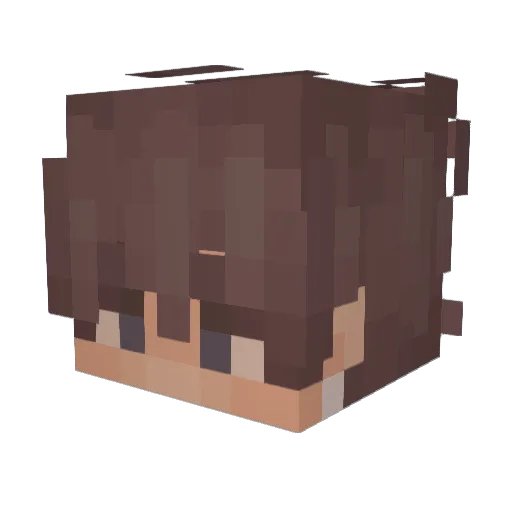 Sebysz Minecraft avatar head, 3D render