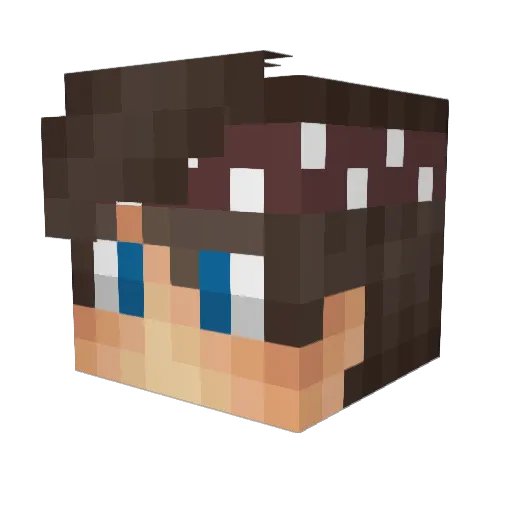 Sebytzu_ Minecraft avatar head, 3D render