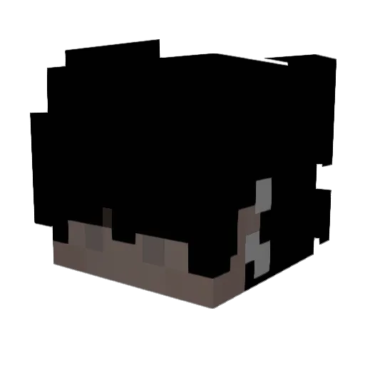 Sebyx08 Minecraft avatar head, 3D render