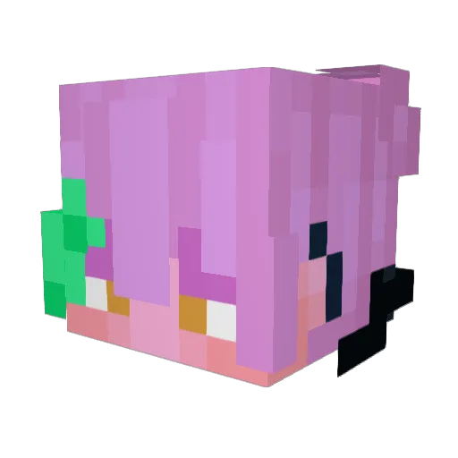 Sebzwolf1 Minecraft avatar head, 3D render