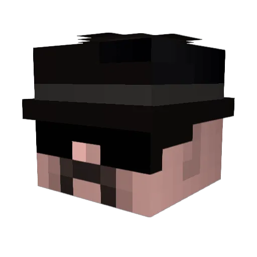 Sebzzz420 Minecraft avatar head, 3D render