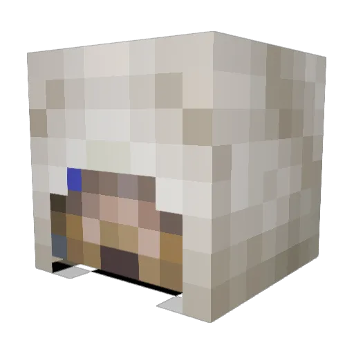 Secare Minecraft avatar head, 3D render