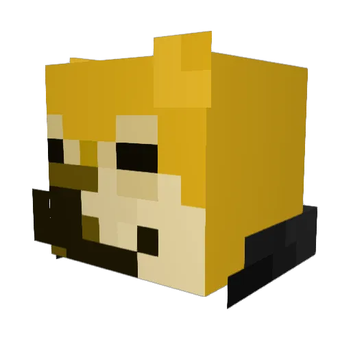 Secaucus Minecraft avatar head, 3D render