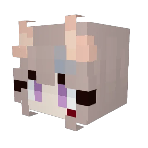 Seconey Minecraft avatar head, 3D render