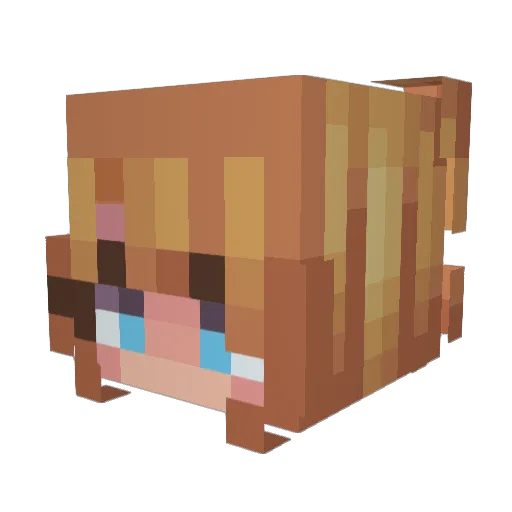 Secoura_ Minecraft avatar head, 3D render