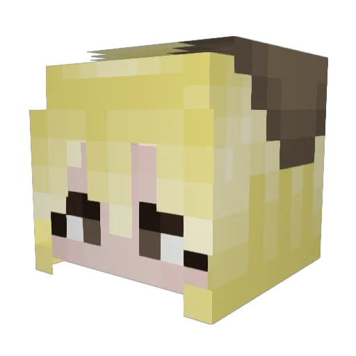 Secre1170 Minecraft avatar head, 3D render