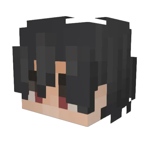 SecrecyKilled Minecraft avatar head, 3D render