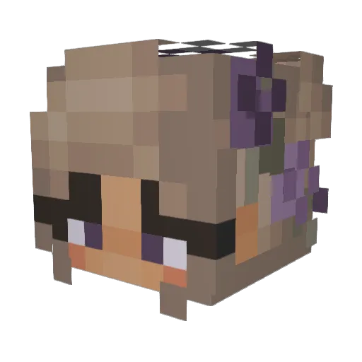 Secret8202 Minecraft avatar head, 3D render