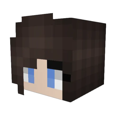 SecretAsianWang Minecraft avatar head, 3D render