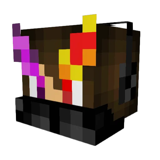 SecretNinja301 Minecraft avatar head, 3D render