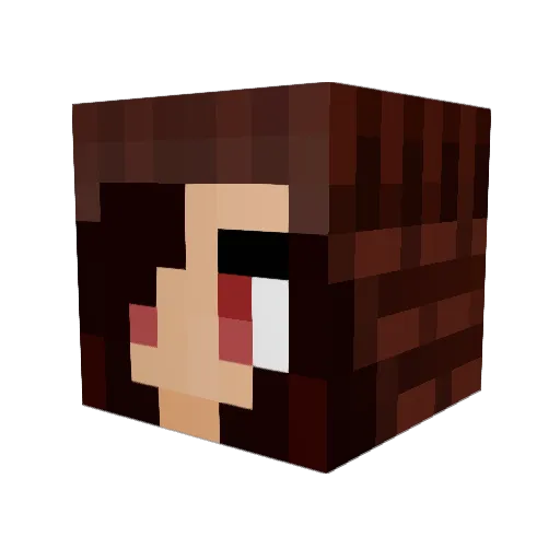 SecretS11 Minecraft avatar head, 3D render