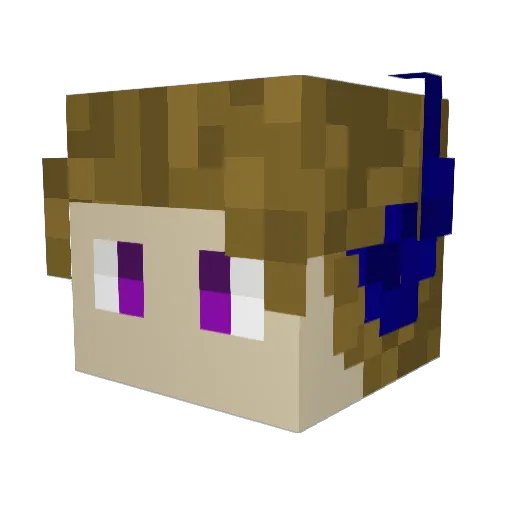 SecretShirt565 Minecraft avatar head, 3D render
