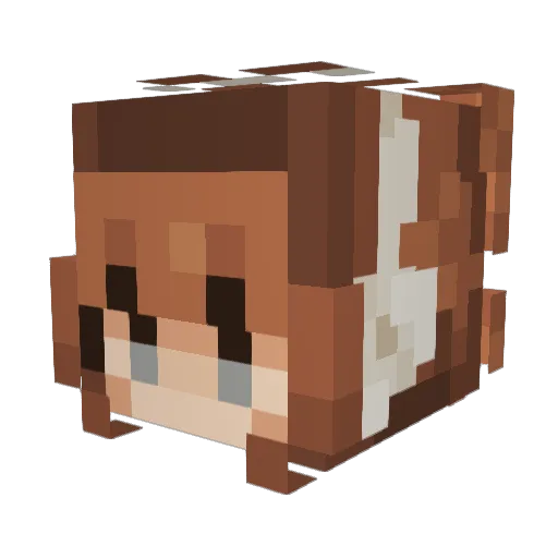Secretcharactors Minecraft avatar head, 3D render