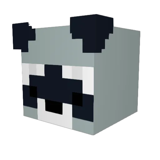 SecretlyBubbles Minecraft avatar head, 3D render