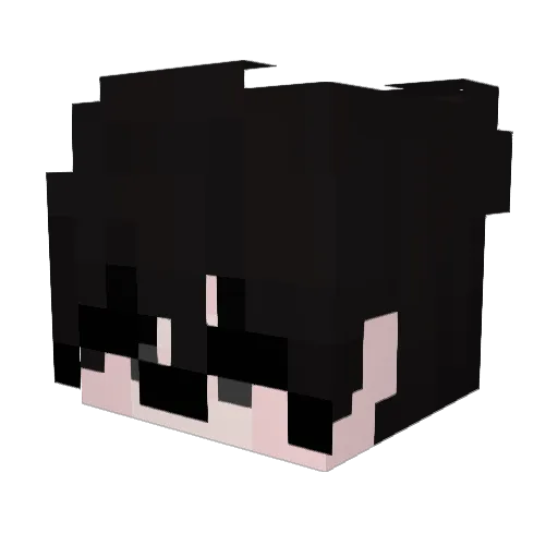 SecretlyVietcong Minecraft avatar head, 3D render