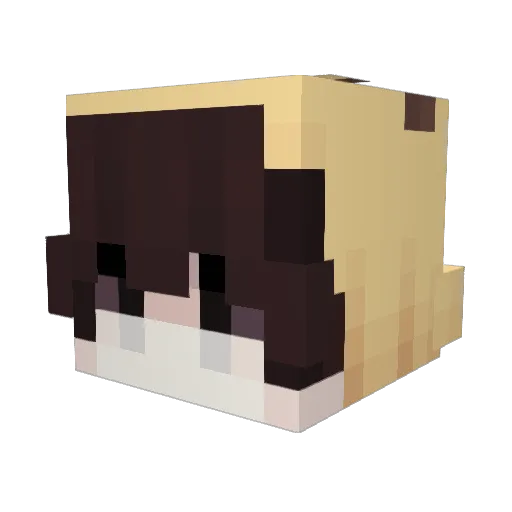 Secretoxenfree Minecraft avatar head, 3D render