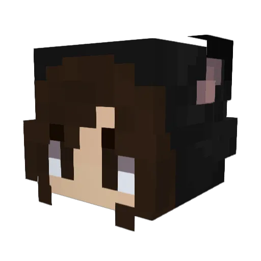 Secretwind2003 Minecraft avatar head, 3D render