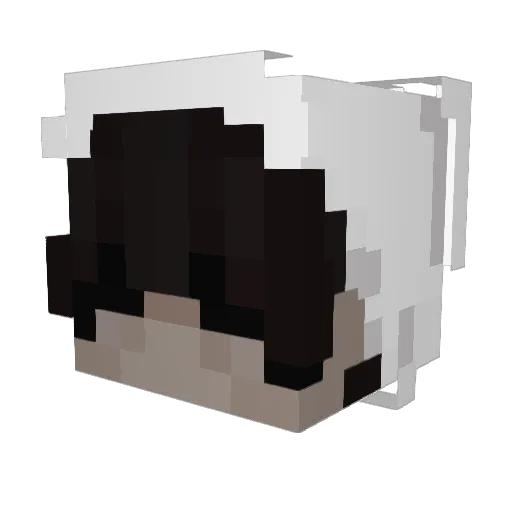 Section_ALPHA_ Minecraft avatar head, 3D render