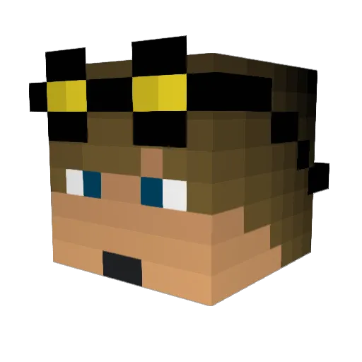 Sector73 Minecraft avatar head, 3D render