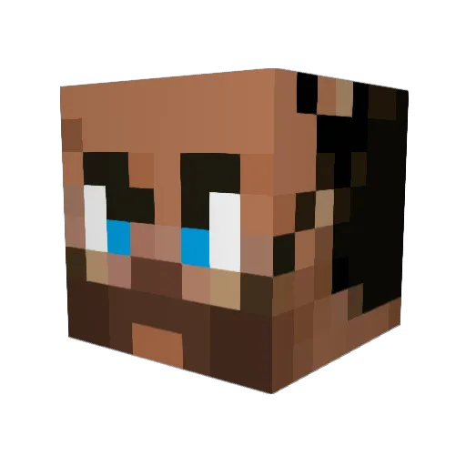 Sector_7G Minecraft avatar head, 3D render