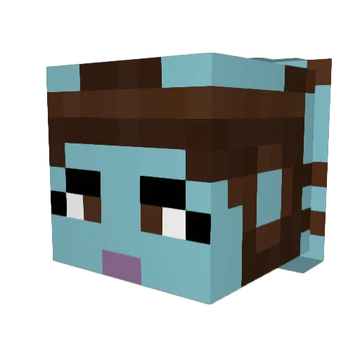 Secura Minecraft avatar head, 3D render