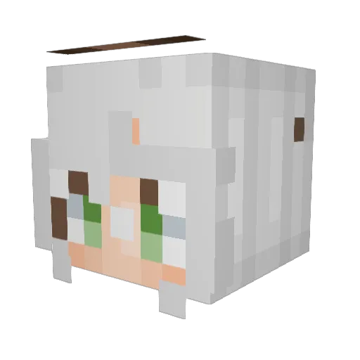 SedIsTheMan Minecraft avatar head, 3D render