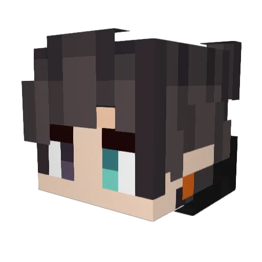 SedateLemming24 Minecraft avatar head, 3D render