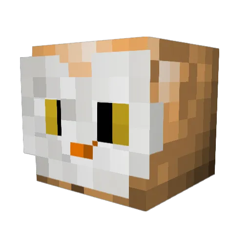 Seddy9008 Minecraft avatar head, 3D render