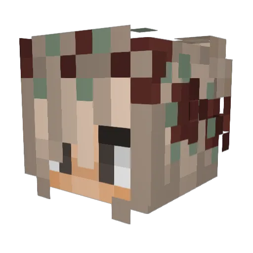 Sedeth2_0 Minecraft avatar head, 3D render