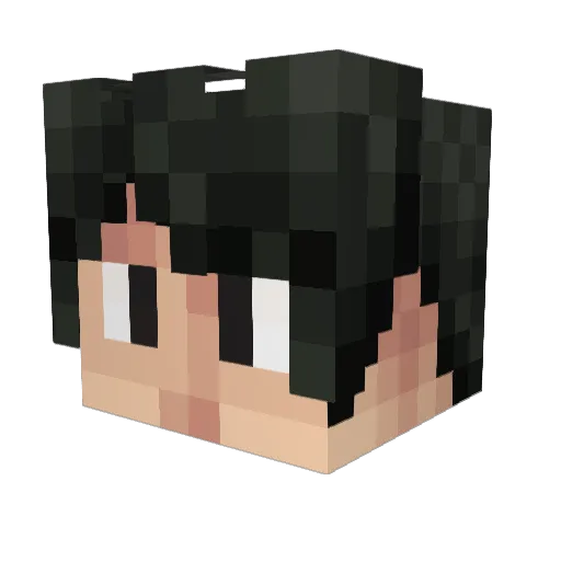 Sedgeworth Minecraft avatar head, 3D render