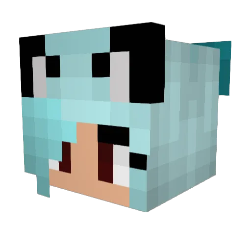 Sedi1 Minecraft avatar head, 3D render