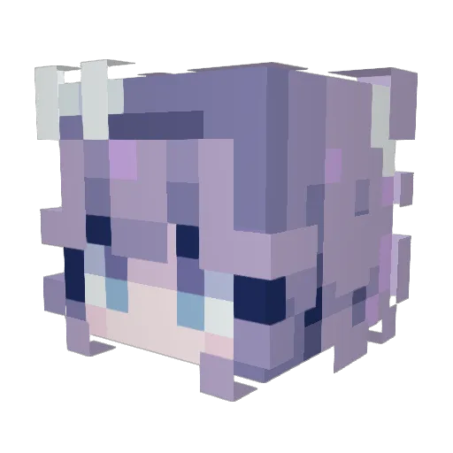 SedimentaryXD Minecraft avatar head, 3D render
