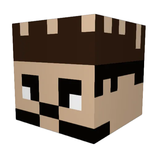Sedoo76 Minecraft avatar head, 3D render
