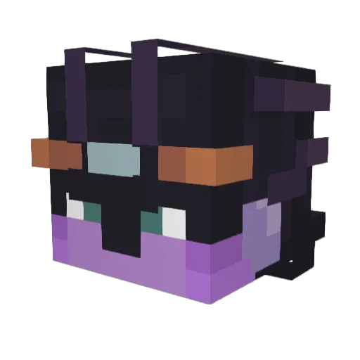 Sedrick_ Minecraft avatar head, 3D render
