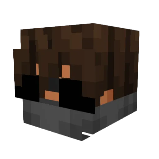 Seecurity Minecraft avatar head, 3D render