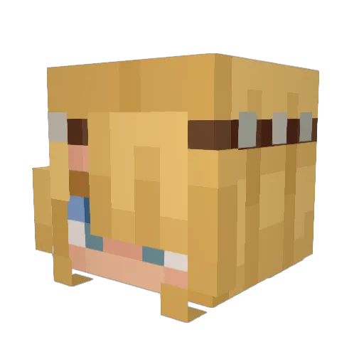Seedbobo Minecraft avatar head, 3D render