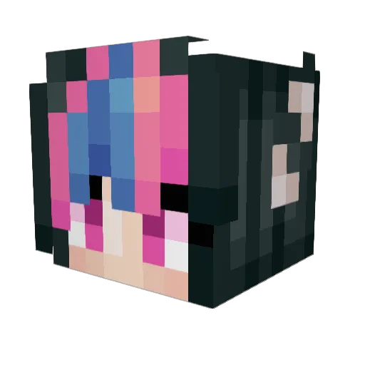 Seedler1 Minecraft avatar head, 3D render