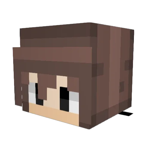 Seedless_shark Minecraft avatar head, 3D render