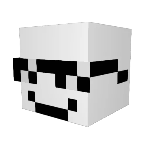 Seedskyy Minecraft avatar head, 3D render
