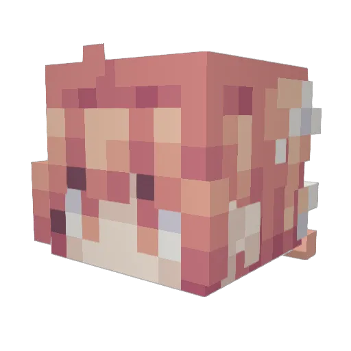 Seejhae_ Minecraft avatar head, 3D render