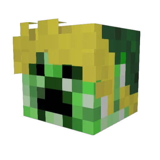 Seeker1001 Minecraft avatar head, 3D render