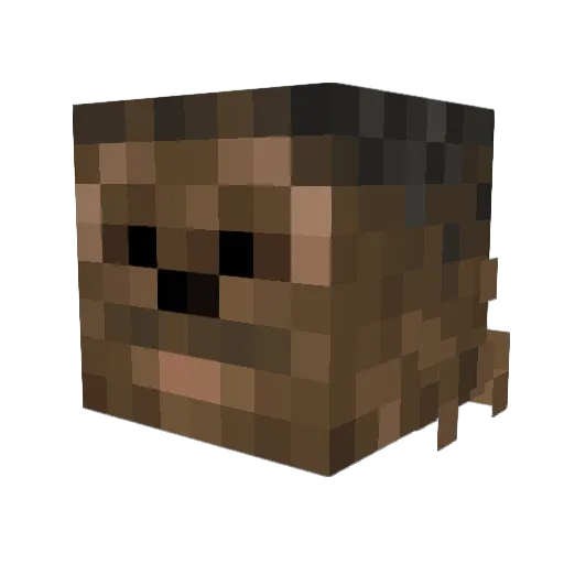 Seeker1992 Minecraft avatar head, 3D render