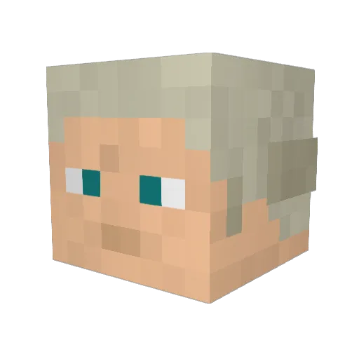 Seeker508 Minecraft avatar head, 3D render