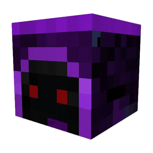 Seeker_BTC Minecraft avatar head, 3D render