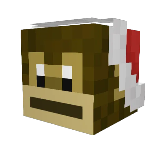 Seekerksh Minecraft avatar head, 3D render