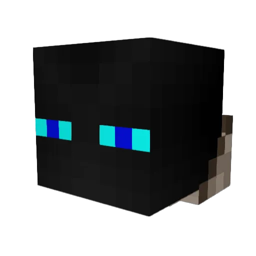 Seekfinder Minecraft avatar head, 3D render