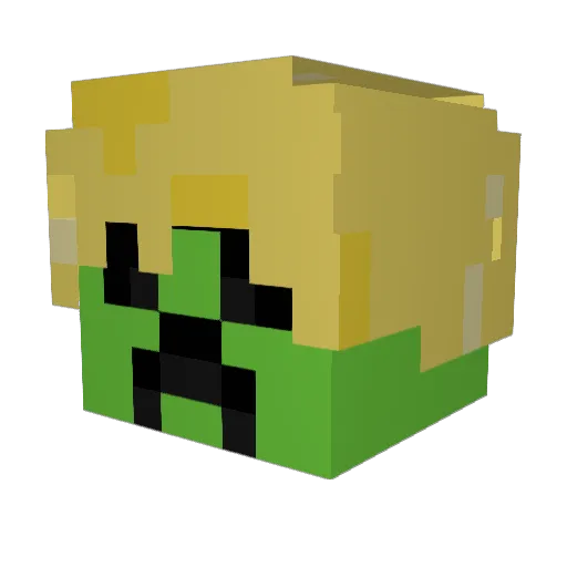 Seelce Minecraft avatar head, 3D render