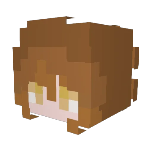 Seele218 Minecraft avatar head, 3D render